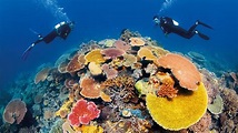 Great Barrier Reef in Cairns, Queensland | Expedia