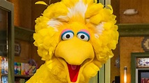 The Sesame Street Movie - What We Know So Far