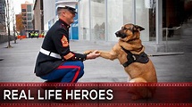 REAL LIFE HEROES - Faith in Humanity Restored 🙏 Part 5 - YouTube