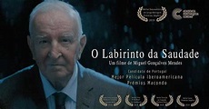 “O Labirinto da Saudade”: Documentário foi nomeado para Melhor Filme ...
