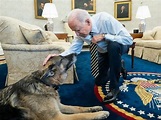 Photos: US Presidential pets through the years | News-photos – Gulf News