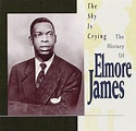 Amazon.com: The Sky Is Crying: The History of Elmore James: CDs & Vinyl