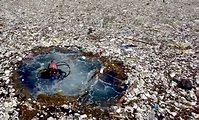 The Great Pacific Garbage Patch, the garbage island as big as the USA
