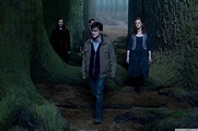 Deathly Hallows Movie Stills - Harry Potter Photo (26598257) - Fanpop