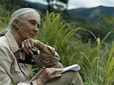 Jane Goodall: «Estamos viviendo la sexta extinción masiva de especies ...