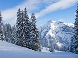 Winter in den Schweizer Alpen (Elm , ... | Stock Bild | Colourbox