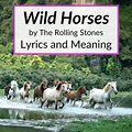 "Wild Horses" Lyrics & Meaning (The Rolling Stones)