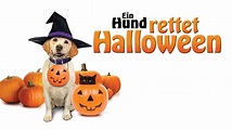 Ein Hund rettet Halloween - Trailer [HD] Deutsch / German - YouTube