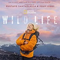 Wild Life (Original Motion Picture Soundtrack) – Álbum de Gustavo ...