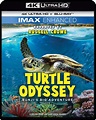 Turtle Odyssey DVD Release Date December 3, 2019