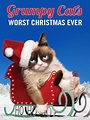 Grumpy Cat's Worst Christmas Ever - Where to Watch and Stream - TV Guide