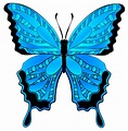 Butterfly Image Clip Art - ClipArt Best