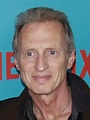 Michael BUSCEMI : Biography and movies
