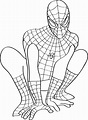 Top 121+ Imagenes de spiderman para dibujar - Destinomexico.mx