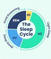 Stages Of Sleep: What Happens In A Sleep Cycle