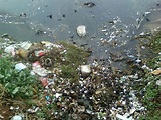 File:Water pollution due to domestic garbage at RK Beach 01.jpg ...