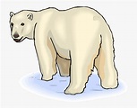 Pin Baby Polar Bear Clipart - Clip Art Polar Bear, HD Png Download ...