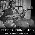 Sleepy John Estes – Big Train and the Loco Motives