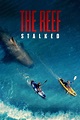 The Reef: Stalked - Cartelera de Cine