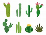Conjunto de vectores de colecciones de cactus aislado sobre fondo ...