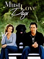 Must Love Dogs - Movie Reviews
