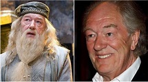 Fallece Michael Gambon, actor que interpretó a Albus Dumbledore ...