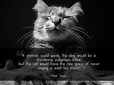 | Mark Twain Funny Cats, Funny Animals, Cute Animals, Cats Humor, Cat ...
