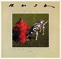 Rush - Signals [3500x3409] (1982) : r/AlbumArtPorn