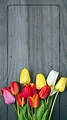 Ghim của Isabella Covelli trên luca creminelli | Hoa tulip, Thực vật, Thiệp