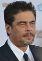 File:Benicio Del Toro - Guardians of the Galaxy premiere - July 2014 ...