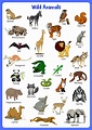 Wild Animals Flashcards - English4Good - Vocabulary Time
