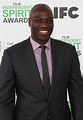 adewale akinnuoye-agbaje Picture 31 - The 2014 Film Independent Spirit ...