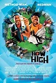 Descargar How High Español Latino DVDRip Ver Online
