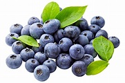 Photos Leaf Blueberries Food Berry White background