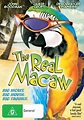 The Real Macaw (1998) - IMDb