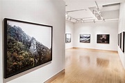 The Gallery - Robert Koch Gallery - San Francisco, California