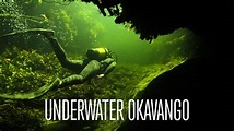 Watch Underwater Okavango Online | Vimeo On Demand on Vimeo
