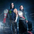 Matt & Jeff Hardy are former WWE Raw Tag Team Champion Hardy Boys Wwe ...