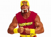 Hulk Hogan altura, peso, idade. Medidas do corpo | Peaceful Place