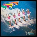 The Go-Go's - Vacation - 1982 | Album cover art, Album covers ...