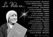 La Vida es... Madre Teresa de Calcuta... | Frases religiosas, Madre ...