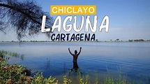 A 40 minutos de Chiclayo 🔥 Reservorio de Capote - COMO LLEGAR 🏝️🏖️🌅 ...