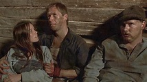 ‎Boxcar Bertha (1972) directed by Martin Scorsese • Reviews, film ...