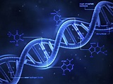 DNA Definition: Shape, Replication, and Mutation