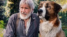 Il richiamo della foresta: il trailer italiano del film con Harrison Ford