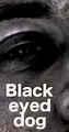 Black eyed dog (2017) - News - IMDb
