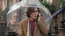 A Rainy Day In New York Movie Review - Book and Film Globe
