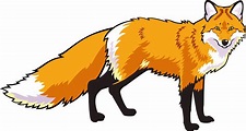 Download Transparent Wildlife Drawing Fox Image Transparent Library ...