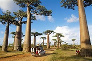 Madagaskar Reiseführer: Wichtige Fakten und Informationen
