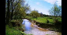Centre Excursionista UPC: Ribera del riu Foix (Sta.Margarida i els Monjos)